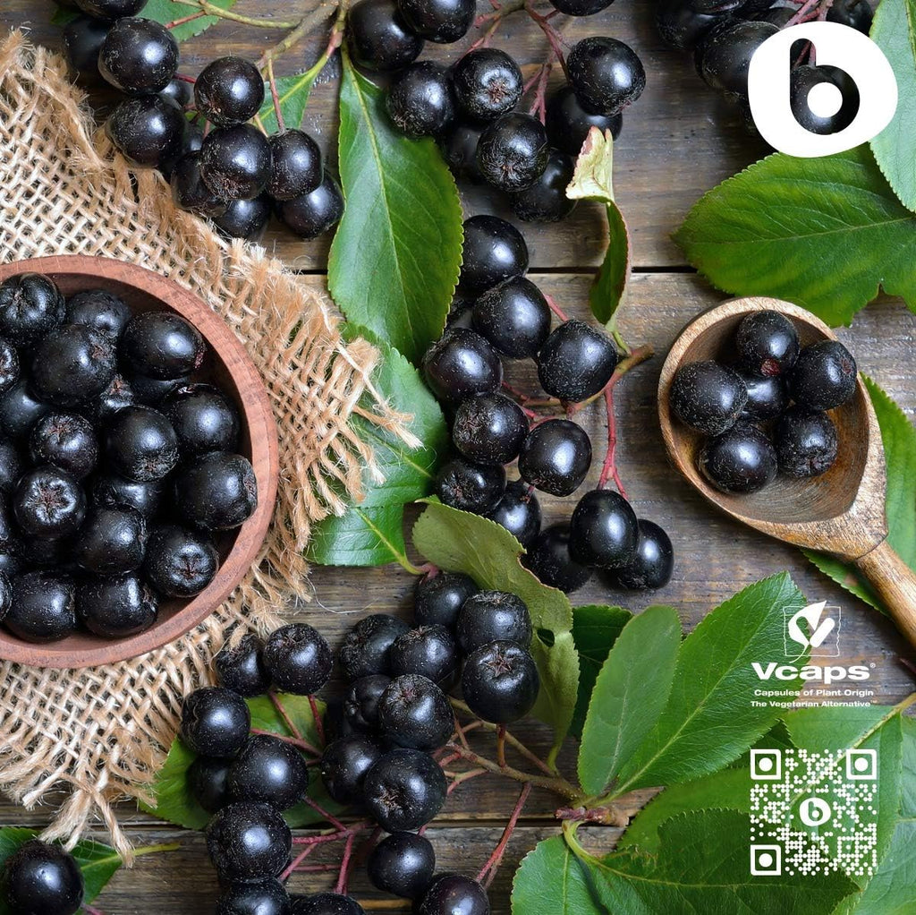 Cápsulas de Aronia Ecológica – Chokeberry Negro – 500 mg, 90 Cápsulas Veganas