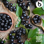 Cápsulas de Aronia Ecológica – Chokeberry Negro – 500 mg, 90 Cápsulas Veganas
