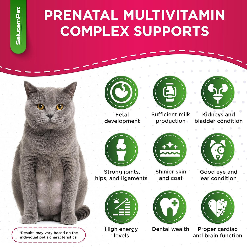 SalutemPet Vitaminas Prenatales para Perras y Gatas – Suplemento Multivitamínico Líquido – 60 ml