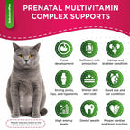 SalutemPet Vitaminas Prenatales para Perras y Gatas – Suplemento Multivitamínico Líquido – 60 ml