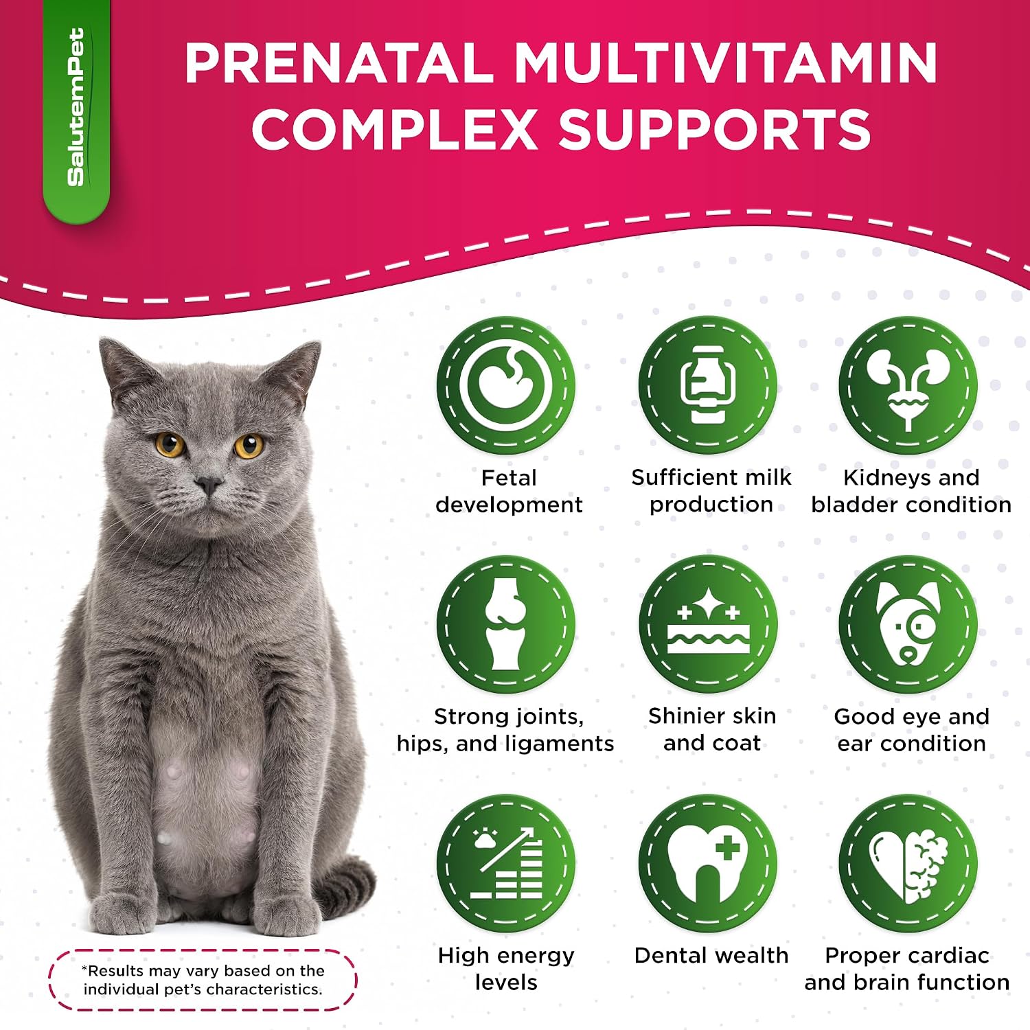 SalutemPet Vitaminas Prenatales para Perras y Gatas – Suplemento Multivitamínico Líquido – 60 ml