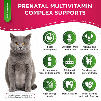 SalutemPet Vitaminas Prenatales para Perras y Gatas – Suplemento Multivitamínico Líquido – 60 ml – Image 2