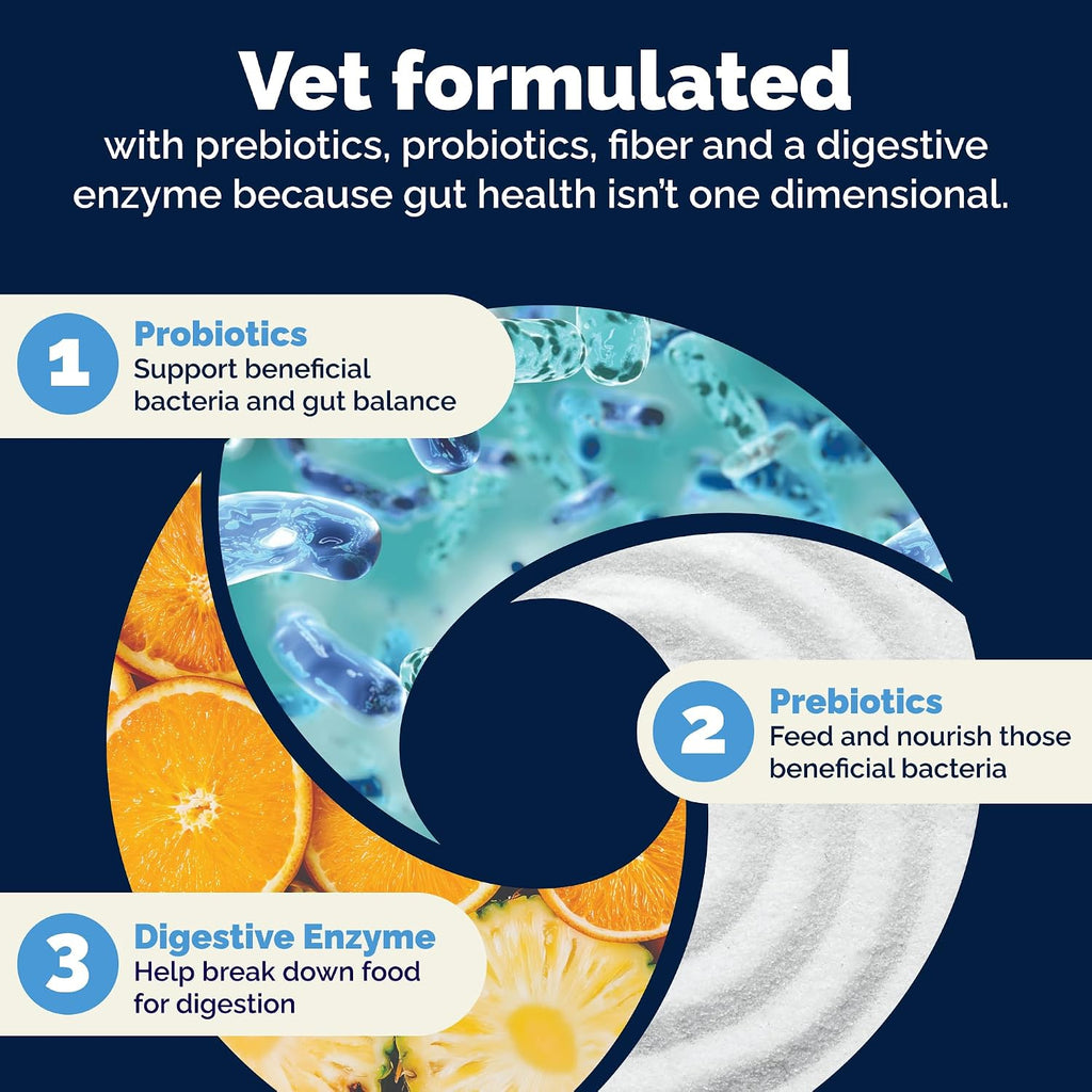 Vetnique Glandex Probióticos Masticables para Perros con 5 Cepas, Prebióticos y Enzimas Digestivas - 120 masticables