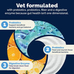 Vetnique Glandex Probióticos Masticables para Perros con 5 Cepas, Prebióticos y Enzimas Digestivas - 120 masticables