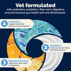 Vetnique Glandex Probióticos para Perros (60 Chews Masticables)