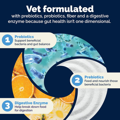 Vetnique Glandex Probióticos para Perros (60 – Refuerzo inmunitario: Al promover una microbiota equilibrada, – Image 6