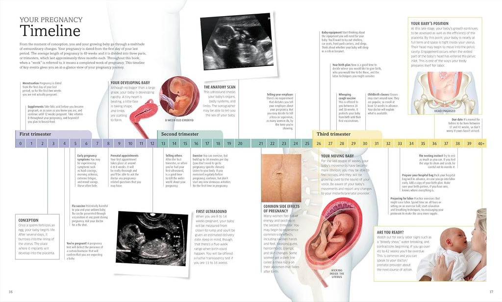 La enciclopedia del embarazo: Todas tus preguntas respondidas