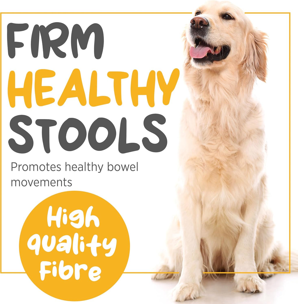 maxxiscoot Apoyo Digestivo y Glandular para Perros - Suplemento en Polvo Natural para la Calidad de las Heces y la Salud Intestinal - 141g