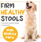 maxxiscoot Apoyo Digestivo y Glandular para Perros - Suplemento en Polvo Natural para la Calidad de las Heces y la Salud Intestinal - 141g