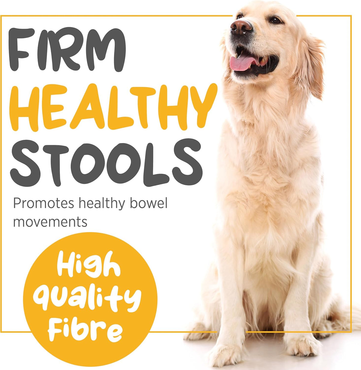 maxxiscoot Apoyo Digestivo y Glandular para Perros - Suplemento en Polvo Natural para la Calidad de las Heces y la Salud Intestinal - 141g - görsel 4