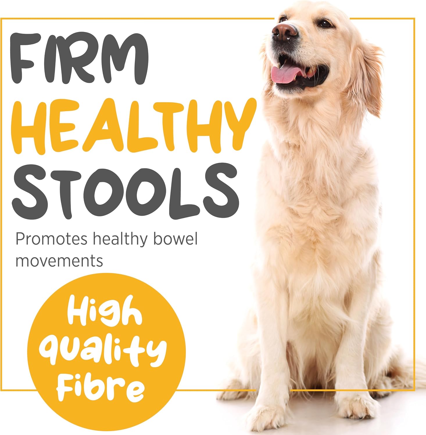 maxxiscoot Apoyo Digestivo y Glandular para Perros - Suplemento en Polvo Natural para la Calidad de las Heces y la Salud Intestinal - 141g