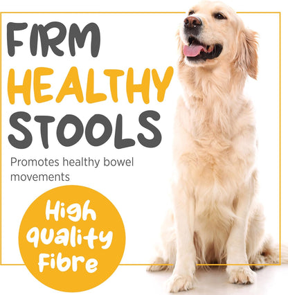 maxxiscoot Apoyo Digestivo y Glandular para Perros - Suplemento en Polvo Natural para la Calidad de las Heces y la Salud Intestinal - 141g