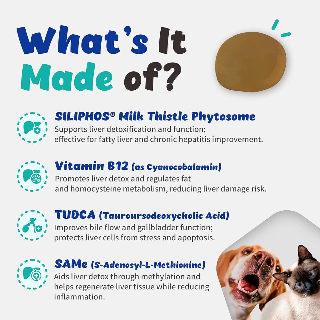 Branvine Liver Alive Metabolism System Health for Dogs and Cats - Función, Hígado graso, Detox, Hepatitis Crónica con SILIPHOS®, TUDCA, SAMe Sabor a Bacon Vegano (60 ml)