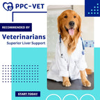 Nutrasal PPC-Vet Fosfatidilcolina Polinsaturada - Suplemento Hepático y Cerebral para Perros y Gatos - 1000 mg/5mL - Líquido Liposomal 236 ml