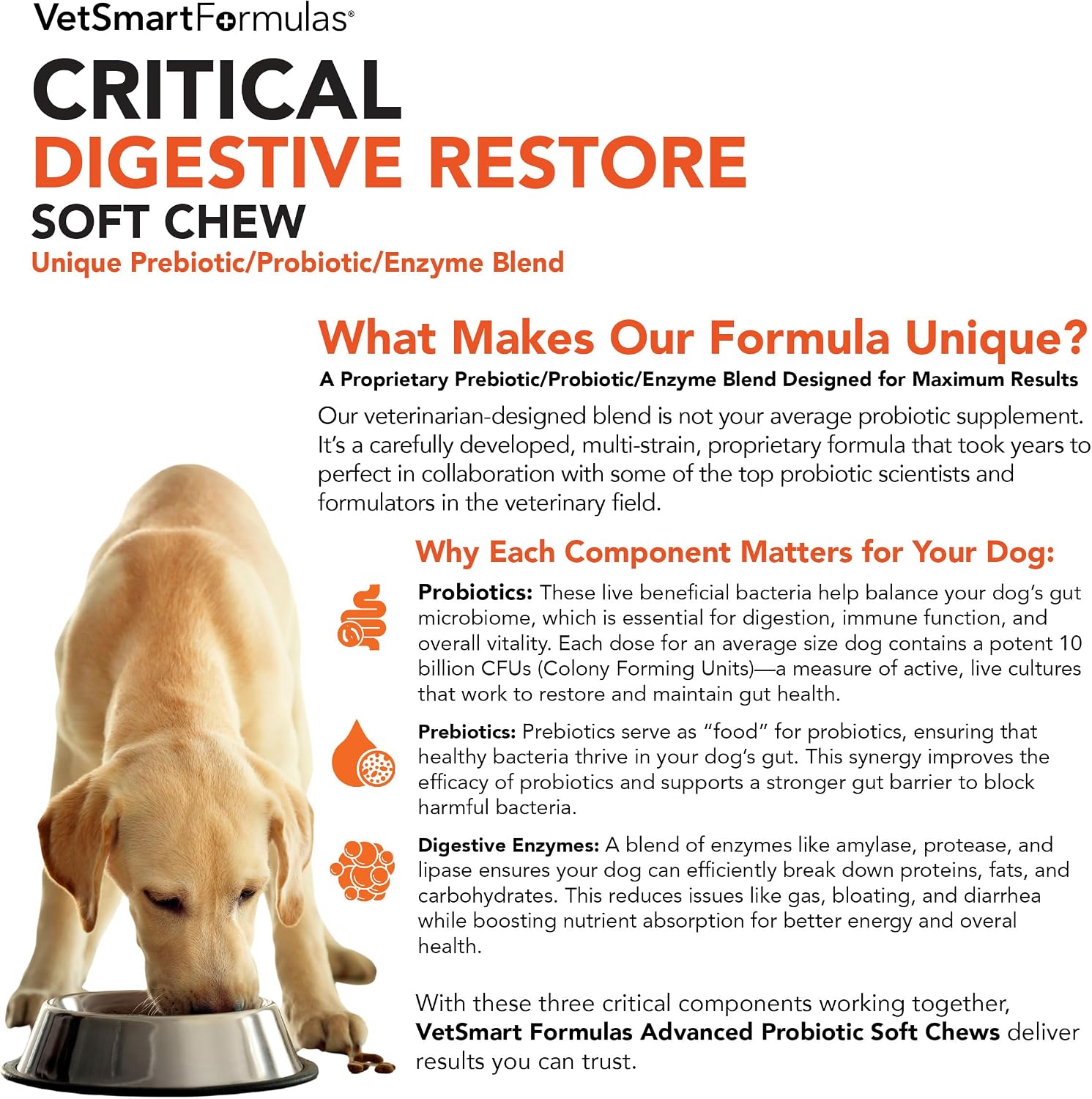 Critical Digestive Restore Soft Chews para Perros - Apoyo Probiótico de Fuerza Veterinaria con 10 Mil Millones de UFC por Dosis