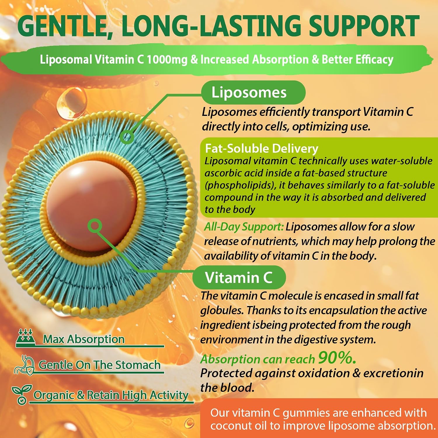 Liposomal Vitamin C 1000mg Gummies - Gomitas de Vitamina C Liposomal con Saúco, Zinc y Hierro, Sin Azúcar, 60 unidades