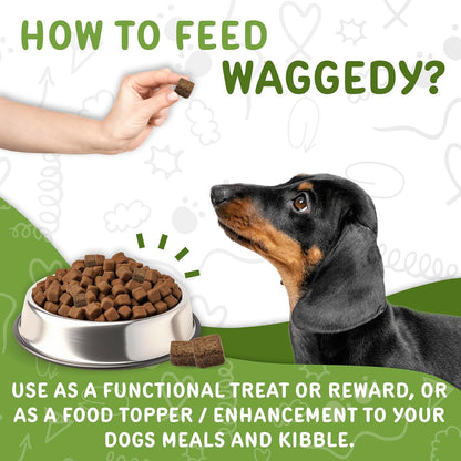 Waggedy Daily Essentials Puppy – Golosinas multivitamínicas para cachorros (60 unidades) – Image 5