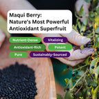 Paradise Herbs, Extracto Orgánico de Baya de Maqui, 400 mg, 60 Cápsulas