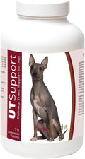 Healthy Breeds Masticables de Arándano para Perros - Apoyo Urinario - 75 unidades