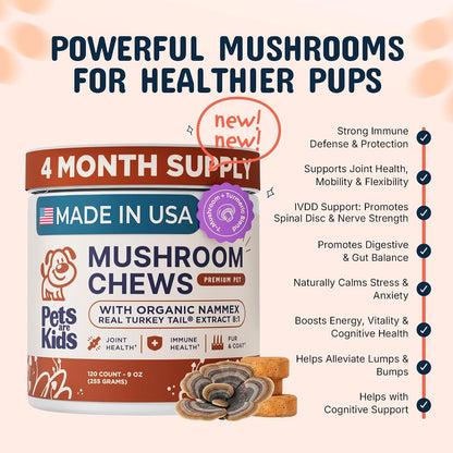 Pets are Kids Turkey Tail Mushroom for Dogs – Reishi: Tradicionalmente utilizado para promover la calma y la – Image 2