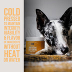 Natural Rapport - Suplemento de Piel y Pelo para Perros, 120 Chews Blandos con Aceite de Salmón y Omega 3,6,9