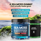 Vitamax Gominolas de Irish Sea Moss - Suplemento Multimineral con Bladderwrack, Ashwagandha, Raíz de Bardana y Vinagre de Manzana - Vegano y No GMO - 60 Gominolas