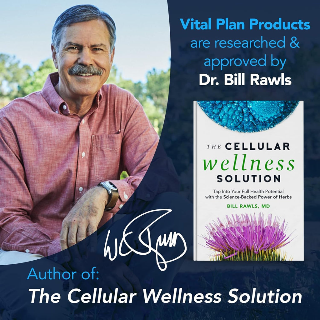 Vital Plan Gut Balance – Complemento Digestivo Avanzado con Slippery Elm, Berberina y Diente de León, 180 Cápsulas