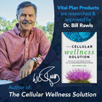 Vital Plan Gut Balance – Complemento Digestivo Avanzado con Slippery Elm, Berberina y Diente de León, 180 Cápsulas