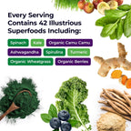Paradise ORAC Energy Greens - Extracto de Superalimentos Verdes, 60 Servicios