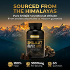 Pure Shilajit Gummies con Aceite de Semilla Negra – Alta Potencia – 60 Gomitas