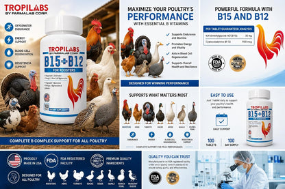 Farmalab B12 B15 para Gallos - 100 Comprimidos – Image 3