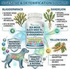 Nutrition Strength Sea Moss para Perros - 17-en-1 Apoyo Inmunidad, Piel y Pelaje con Aceite de Semilla Negra, Ashwagandha y Cúrcuma - 90 Comprimidos Masticables