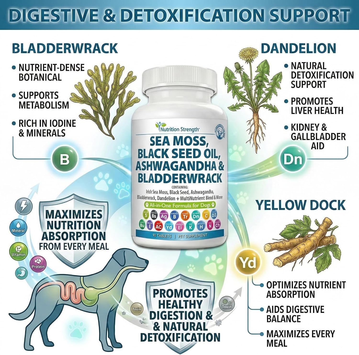 Nutrition Strength Sea Moss para Perros - 17-en-1 Apoyo Inmunidad, Piel y Pelaje con Aceite de Semilla Negra, Ashwagandha y Cúrcuma - 90 Comprimidos Masticables