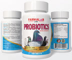B12-5500 para Palomas - Complemento de Vitamina B12 y Hierro - 60 Comprimidos