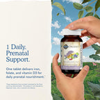 Garden of Life Organics Multivitamínico Prenatal con Folato, B6, B12, D3 y Hierro, 30 Comprimidos