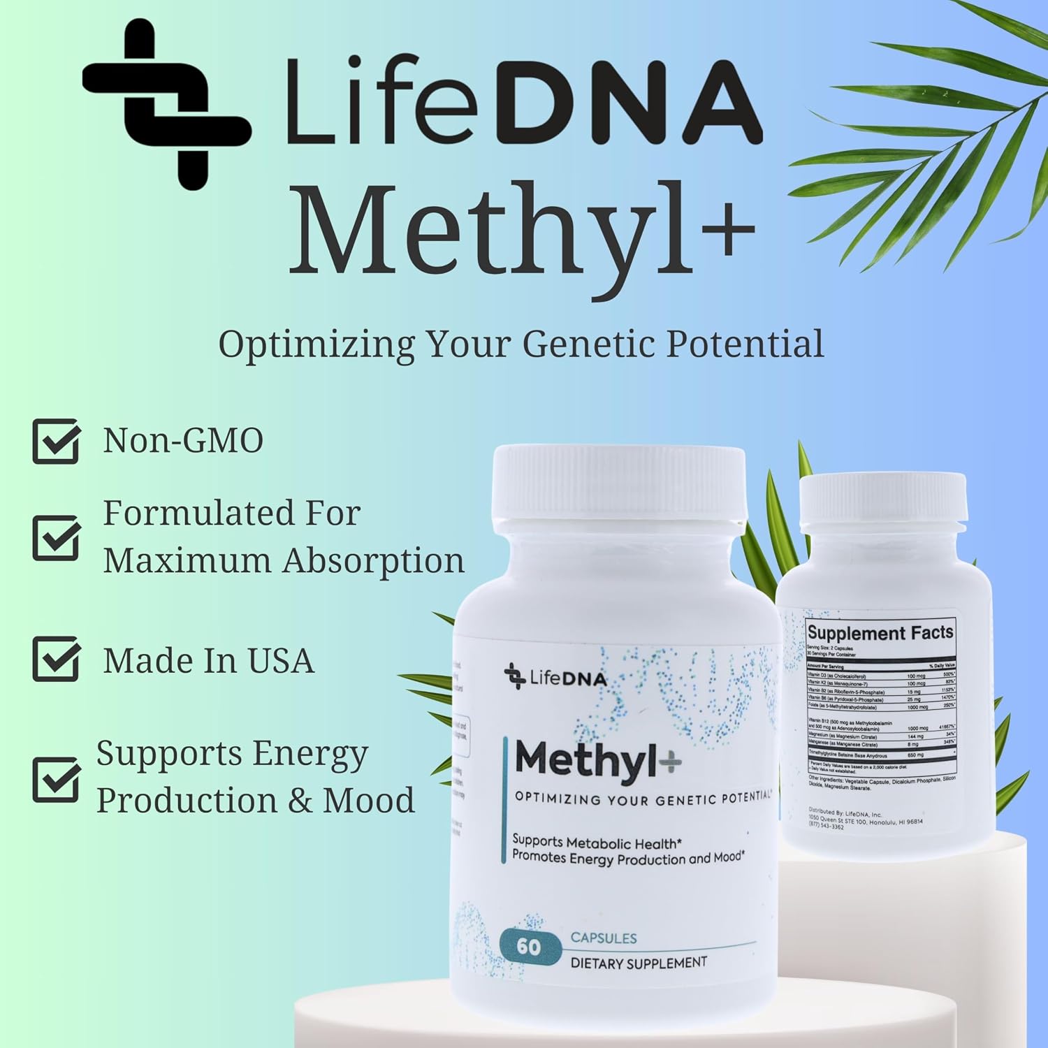 LIFEDNA Methyl + Methylfolate - Methylated Folate Vitamins Active 5-MTHF TMG Optimized Homocysteine, Brain, Cardiovascular Highly Bioavailable, MTHFR Supplement