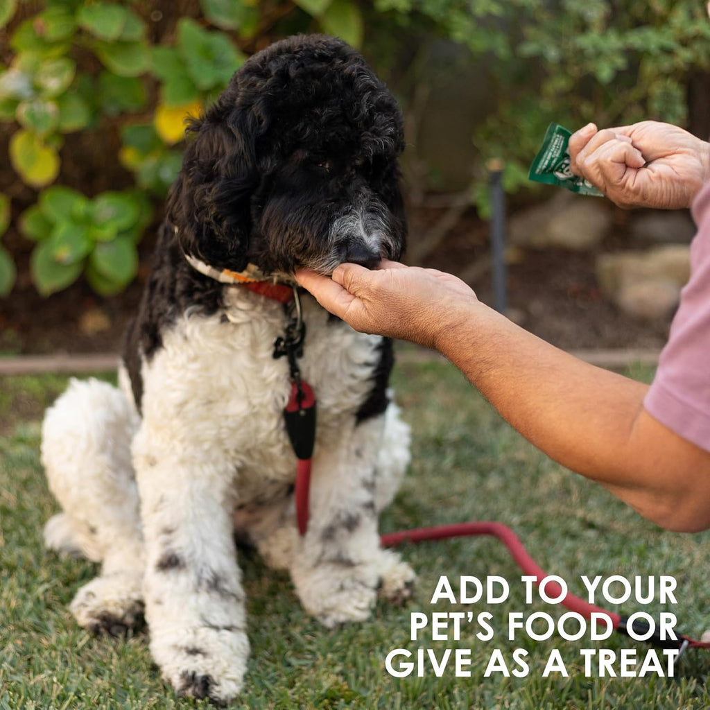 Sun Chlorella Sun Premios para Mascotas - Suplemento verde superfood para perros y gatos - 120 premios