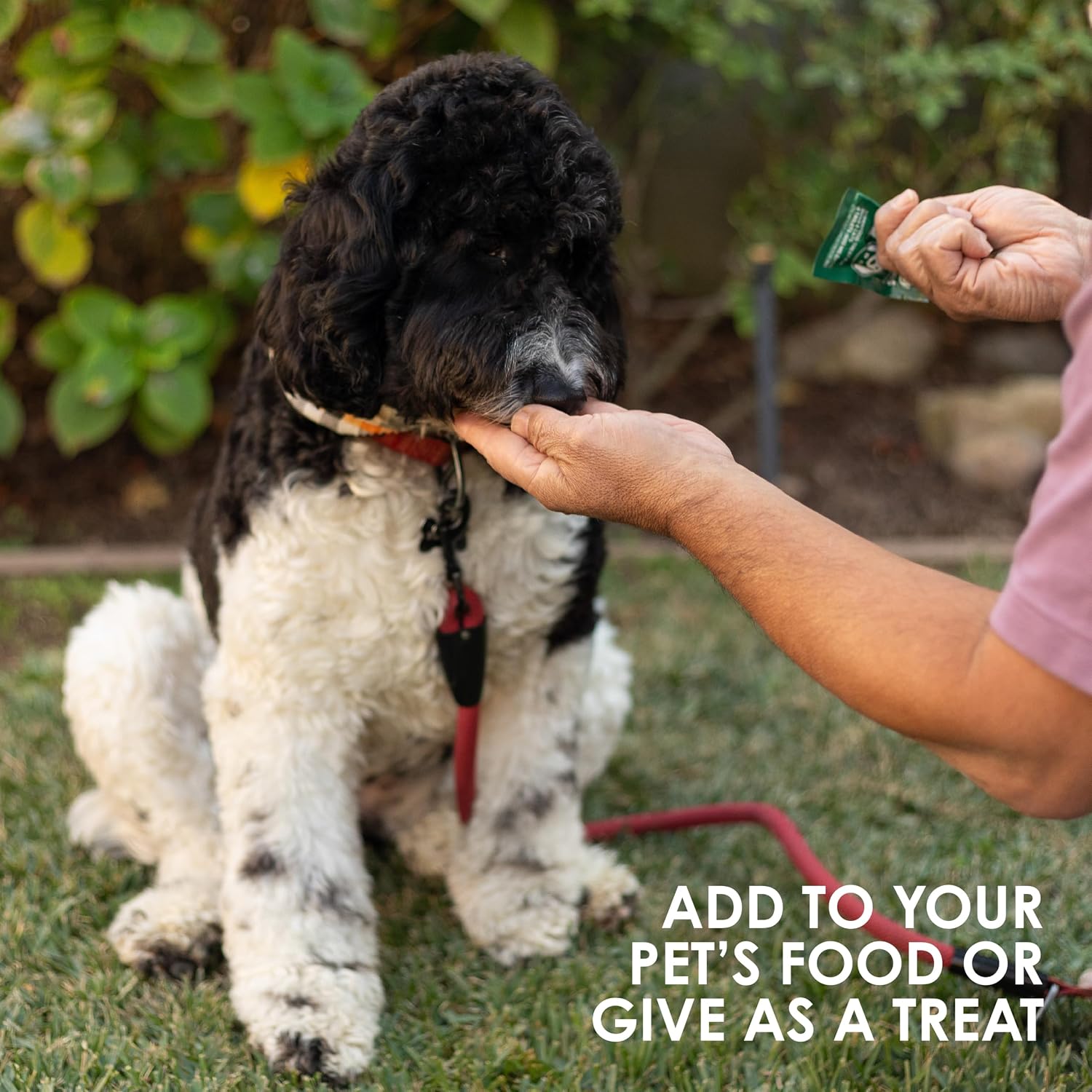 Sun Chlorella Sun Premios para Mascotas - Suplemento verde superfood para perros y gatos - 120 premios
