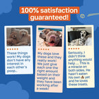 Happy Paws No Poo Chews para Perros - Coprofagia y Salud Digestiva con Calabaza, Probióticos y Enzimas - 100 uds