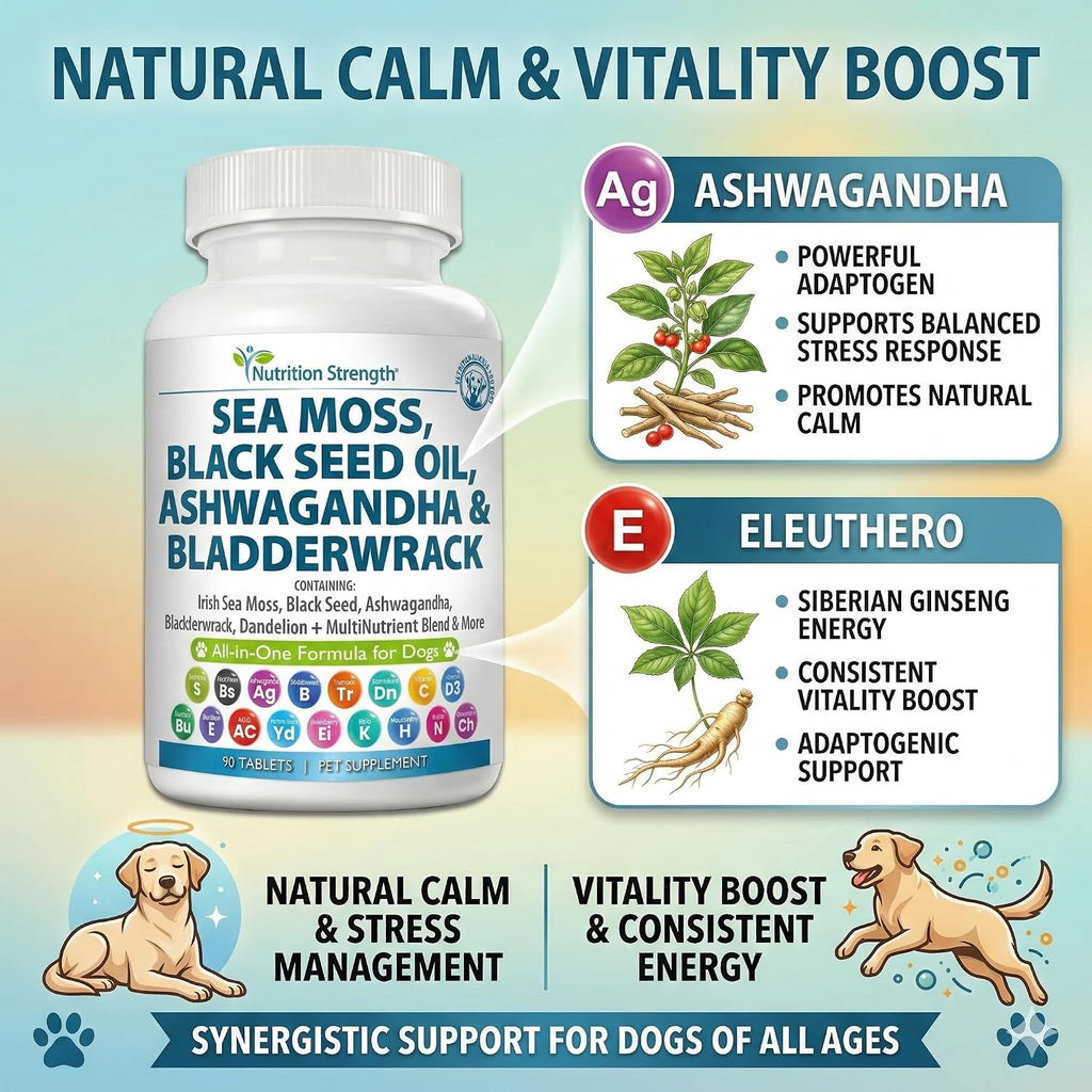 Nutrition Strength Sea Moss para Perros - 17-en-1 Apoyo Inmunidad, Piel y Pelaje con Aceite de Semilla Negra, Ashwagandha y Cúrcuma - 90 Comprimidos Masticables