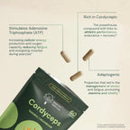 Dr Sosnowski's BioActive Cordyceps Mushroom Capsules - Extracto de Cordyceps 1000mg (120 Cápsulas)