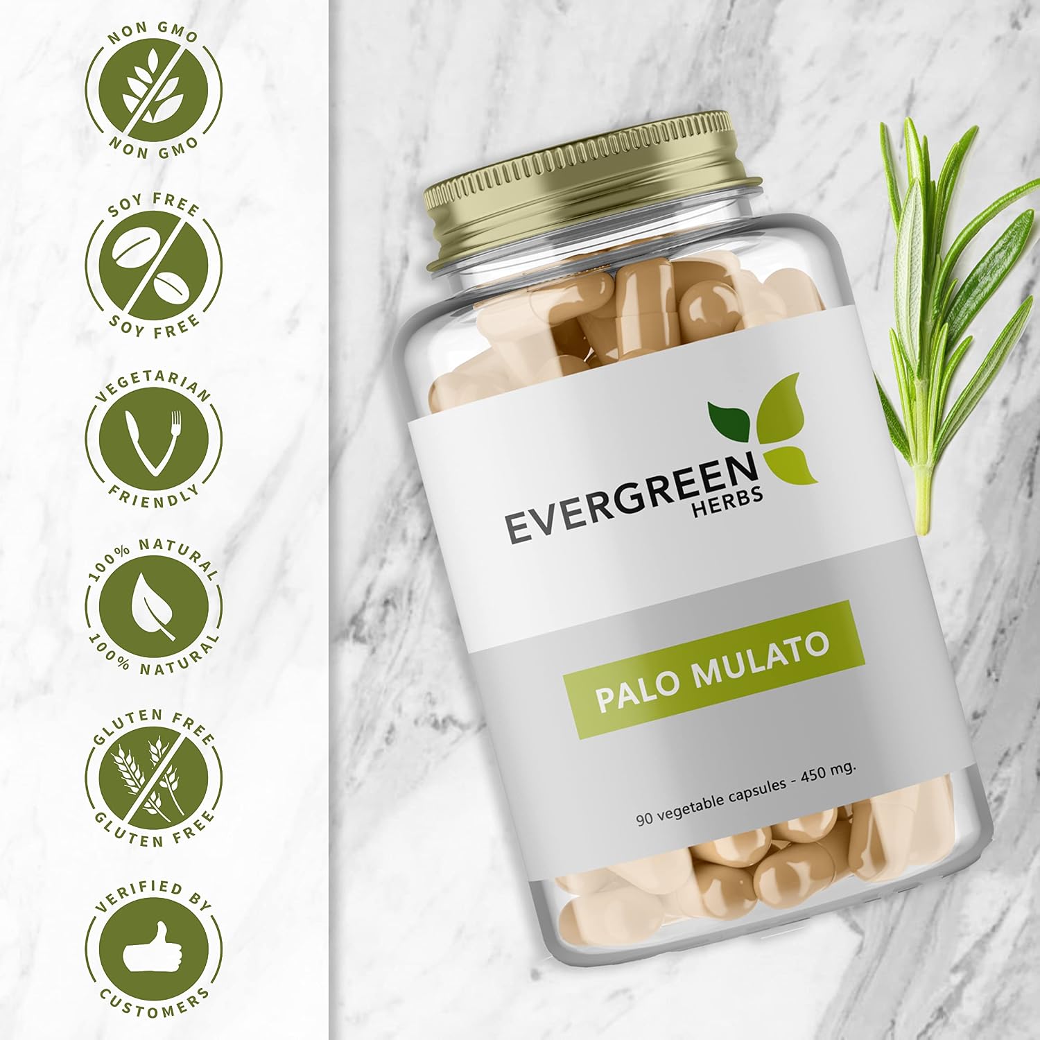 Evergreen Herbs Palo Mulato Capsules - 1350 mg per Serving (450 mg Each Capsules) Wildcrafted Mexican Herbal Capsules - Tamper Proof Seal to Ensure Freshness