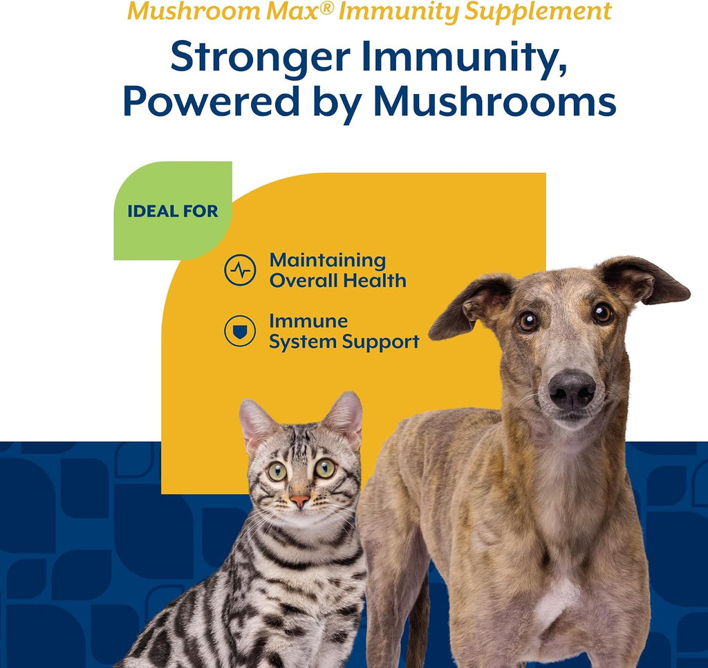 NaturVet Mushroom Max Advanced Immune Support – Suplemento para Perros (60 comprimidos)