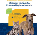 NaturVet Mushroom Max Advanced Immune Support – Suplemento para Perros (60 comprimidos)