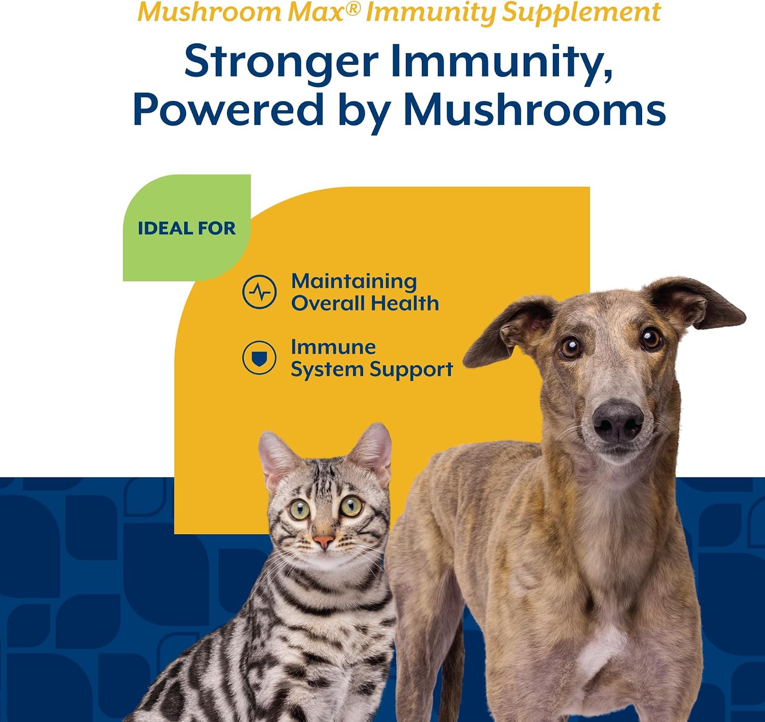 NaturVet Mushroom Max Advanced Immune Support – Suplemento para Perros (60 comprimidos)