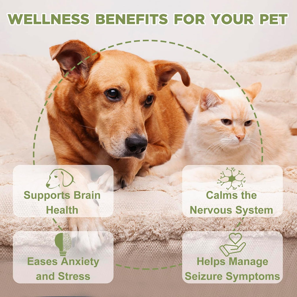 Suplemento para Epilepsia y Sistema Nervioso para Perros y Gatos - Ourea