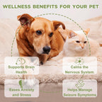Suplemento para Epilepsia y Sistema Nervioso para Perros y Gatos - Ourea