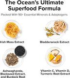 InnoSupps Wild Sea Moss Cápsulas - Complemento de Musgo Marino para Vitalidad y Salud Digestiva (30 Porciones)