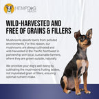 MycoDog Breathe - Gotas de apoyo respiratorio para perros - Confort respiratorio y salud de las vías respiratorias - Para Bulldogs Franceses, Pugs y razas de hocico plano - Mezcla natural de hongos y ashwagandha