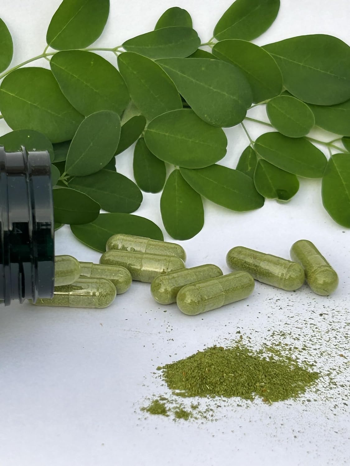 Jamaican Moringa Capsules – 100% Natural Ingredients – 90 Cápsulas, 500mg – con Cúrcuma & Jengibre